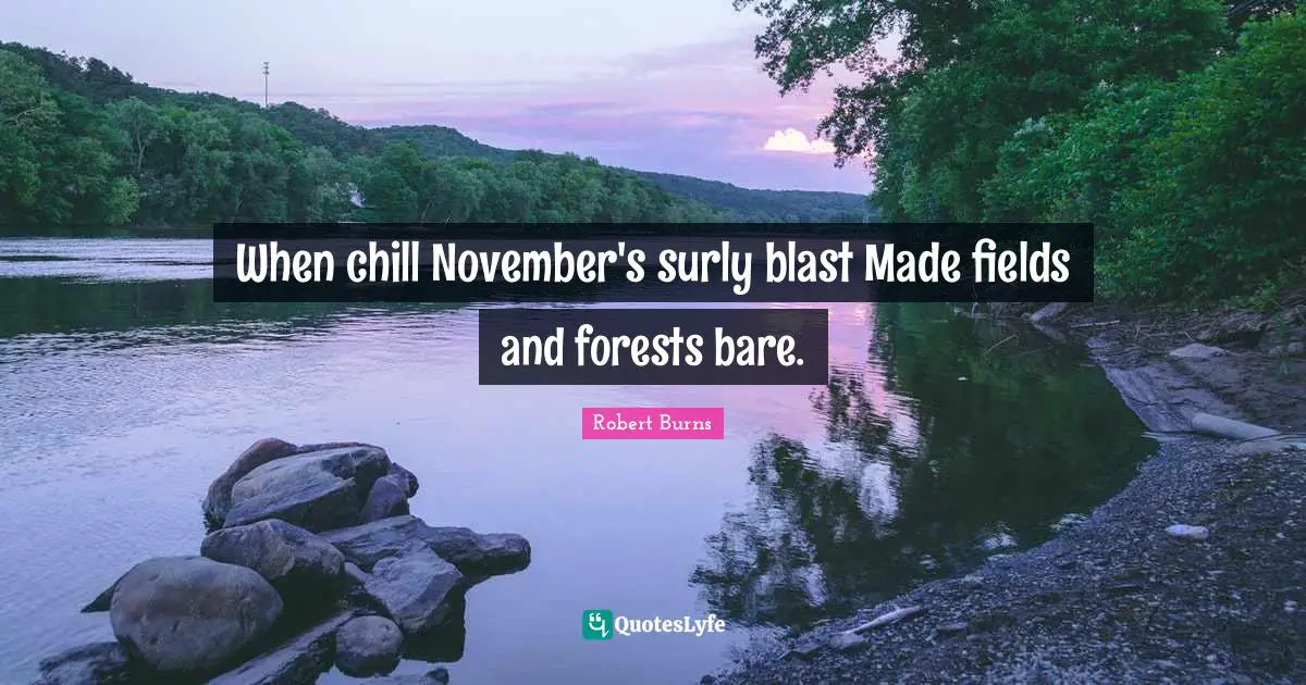 Robert Burns Quotes: "When chill November's surly blast Made fields and forests bare."
