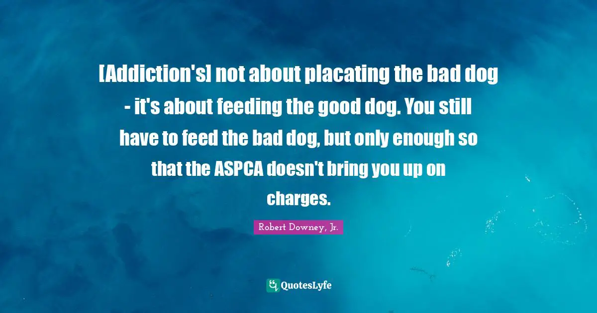 [Addiction's] not about placating the bad dog - it's about feeding the good dog. You still have to feed the bad dog, but only enough so that the ASPCA doesn't bring you up on charges.