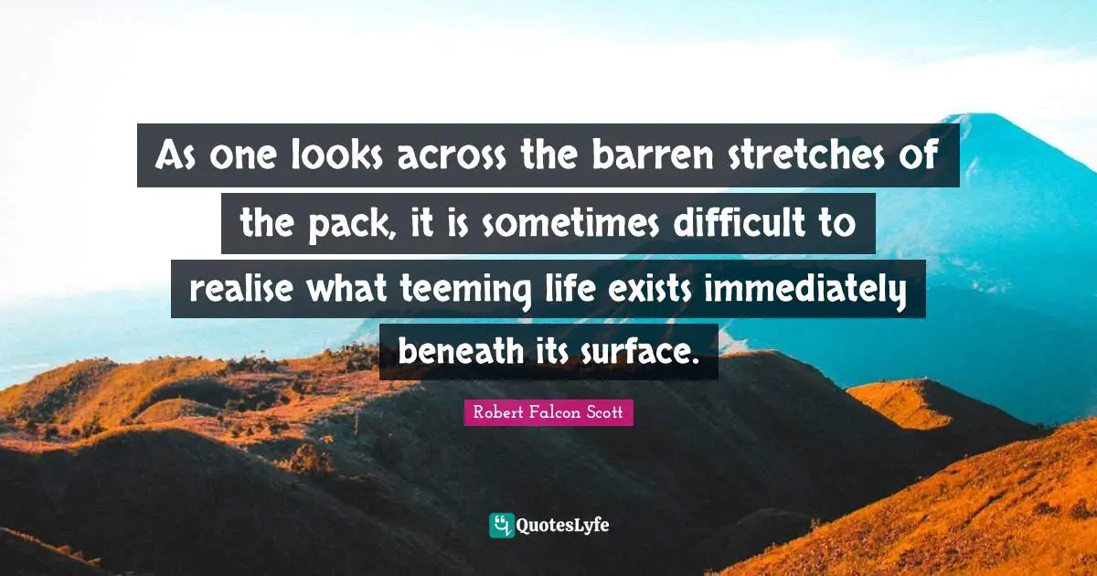 As one looks across the barren stretches of the pack, it is sometimes difficult to realise what teeming life exists immediately beneath its surface.