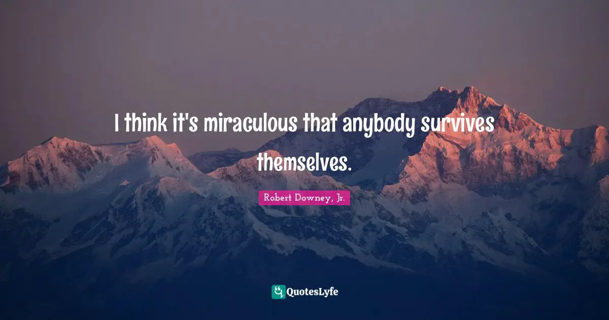 Robert Downey, Jr. Quotes: "I think it's miraculous that anybody survives themselves."