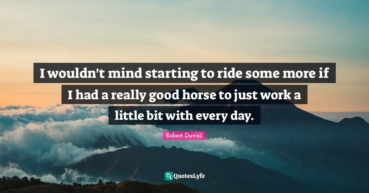 I wouldn't mind starting to ride some more if I had a really good horse to just work a little bit with every day.