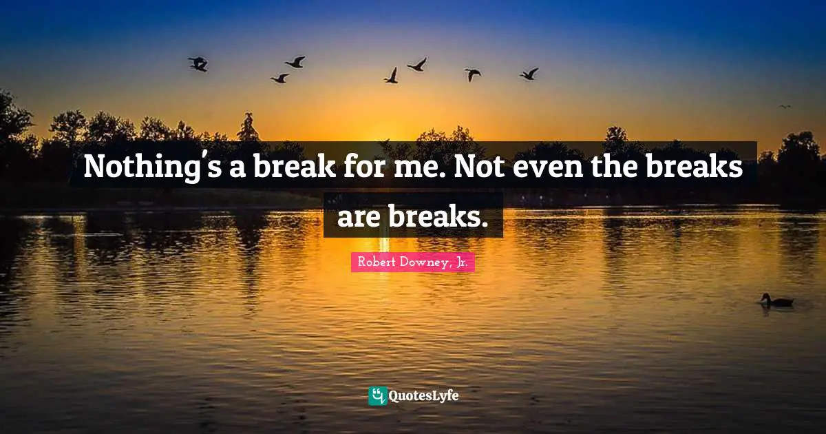 Robert Downey, Jr. Quotes: "Nothing's a break for me. Not even the breaks are breaks."