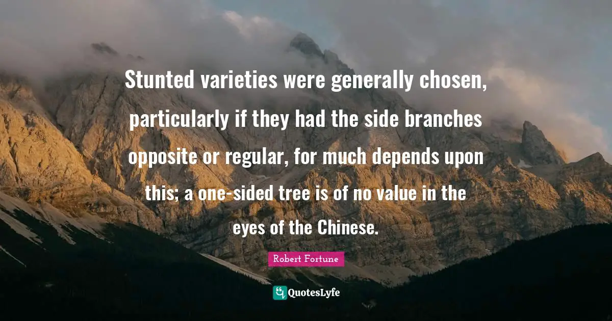 Stunted varieties were generally chosen, particularly if they had the side branches opposite or regular, for much depends upon this; a one-sided tree is of no value in the eyes of the Chinese.