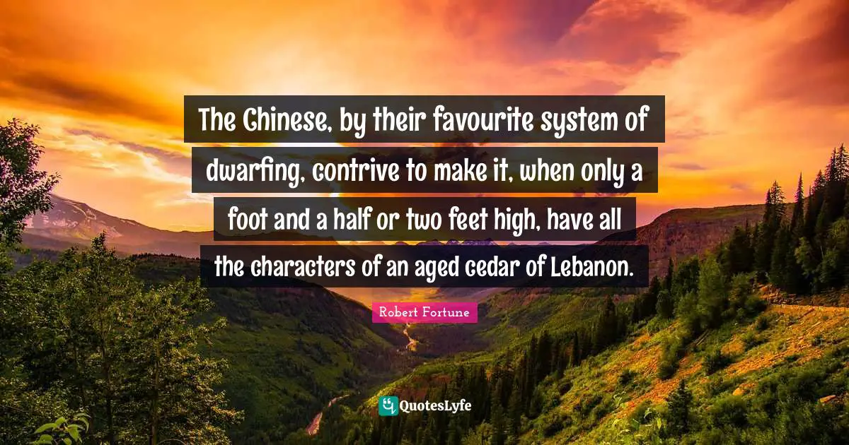 Robert Fortune Quotes: The Chinese, by their favourite system of dwarfing, contrive to make it, when only a foot and a half or two feet high, have all the characters of an aged cedar of Lebanon.