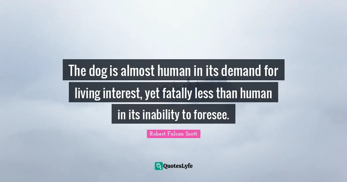 The dog is almost human in its demand for living interest, yet fatally less than human in its inability to foresee.