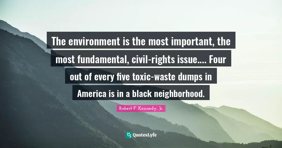 The environment is the most important, the most fundamental, civil-rights issue.... Four out of every five toxic-waste dumps in America is in a black neighborhood.