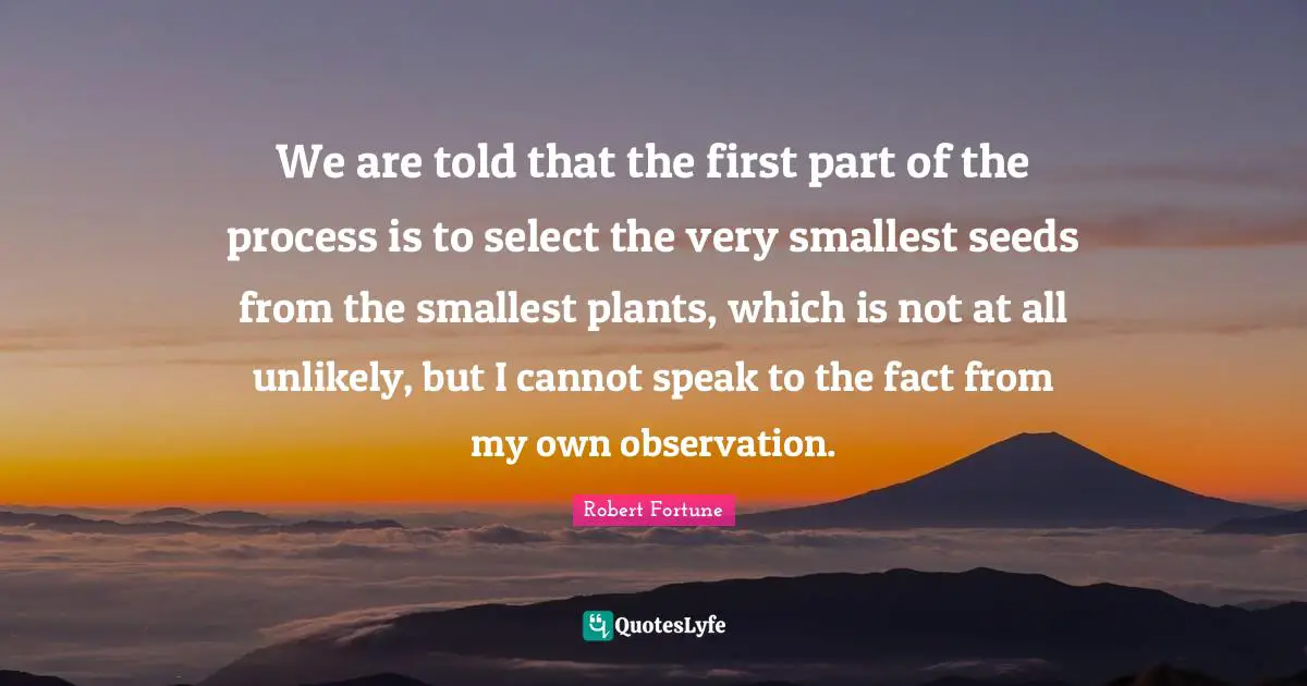 We are told that the first part of the process is to select the very smallest seeds from the smallest plants, which is not at all unlikely, but I cannot speak to the fact from my own observation.