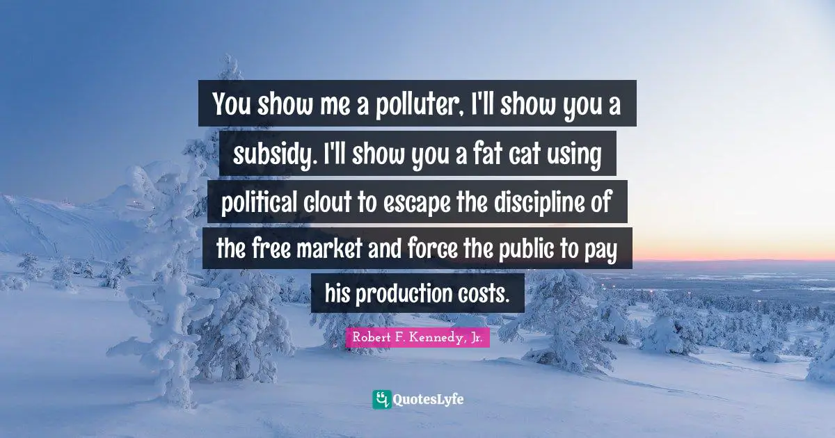 You show me a polluter, I'll show you a subsidy. I'll show you a fat cat using political clout to escape the discipline of the free market and force the public to pay his production costs.