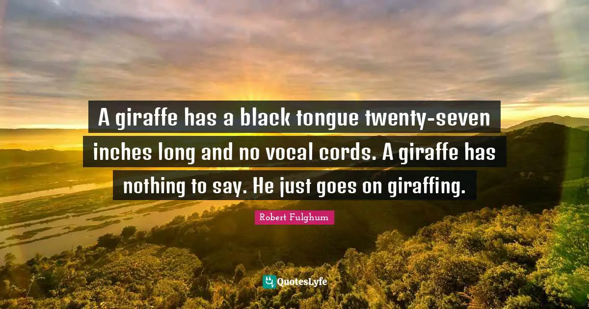 Robert Fulghum Quotes: "A giraffe has a black tongue twenty-seven inches long and no vocal cords. A giraffe has nothing to say. He just goes on giraffing."