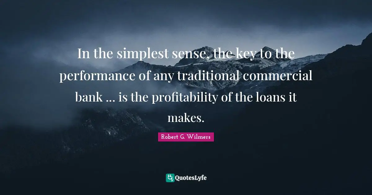 In the simplest sense, the key to the performance of any traditional commercial bank ... is the profitability of the loans it makes.