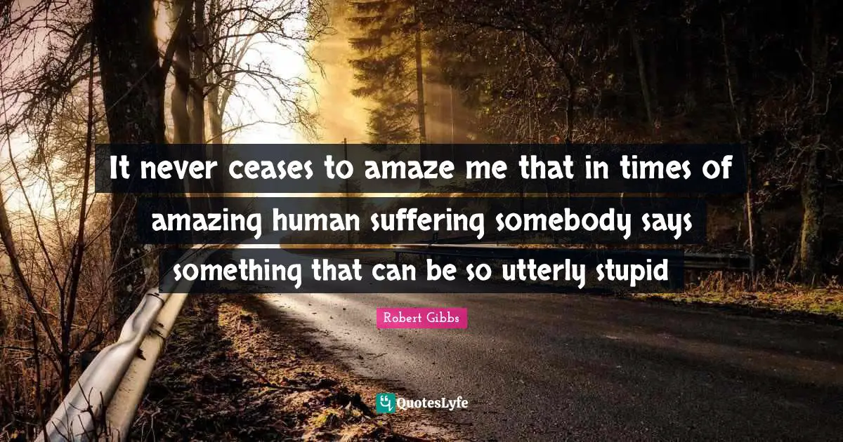 Robert Gibbs Quotes: "It never ceases to amaze me that in times of amazing human suffering somebody says something that can be so utterly stupid"