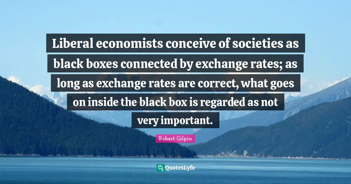 Liberal economists conceive of societies as black boxes connected by exchange rates; as long as exchange rates are correct, what goes on inside the black box is regarded as not very important.