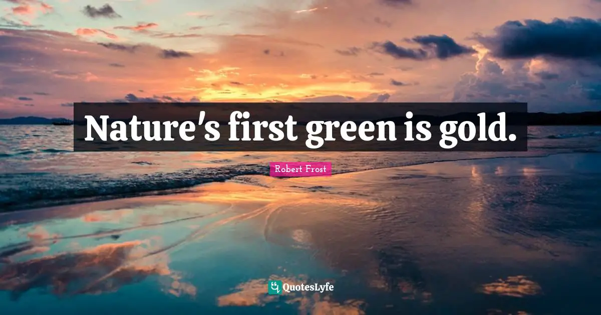 Robert Frost Quotes: "Nature's first green is gold."