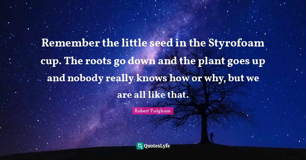 Remember the little seed in the Styrofoam cup. The roots go down and the plant goes up and nobody really knows how or why, but we are all like that.