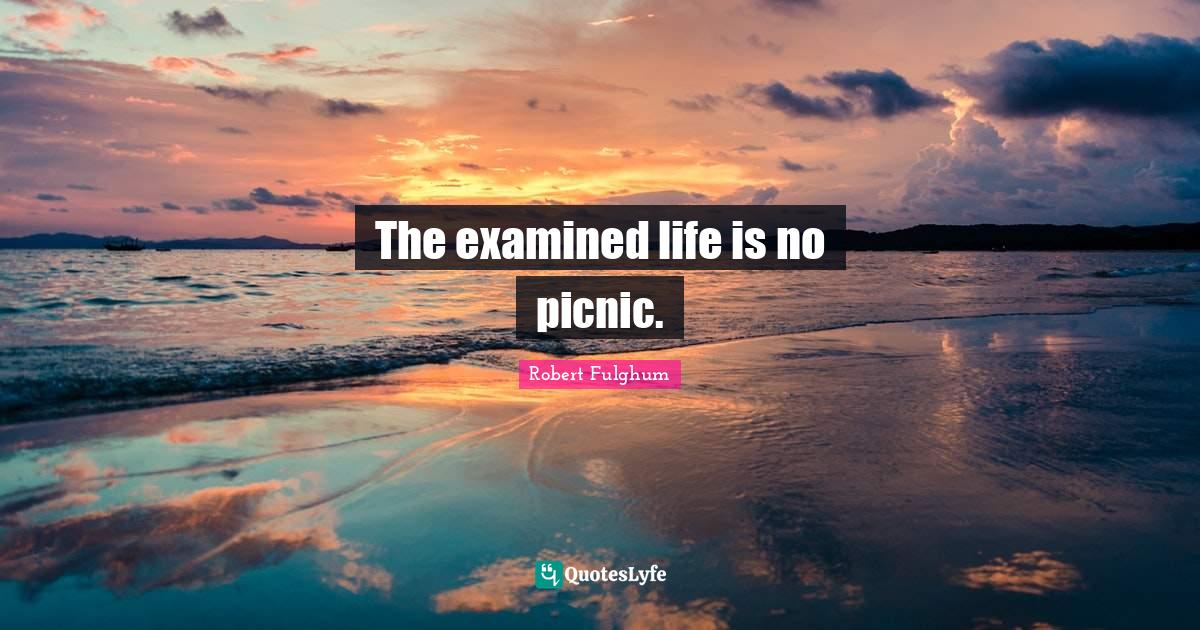The examined life is no picnic.... Quote by Robert Fulghum QuotesLyfe