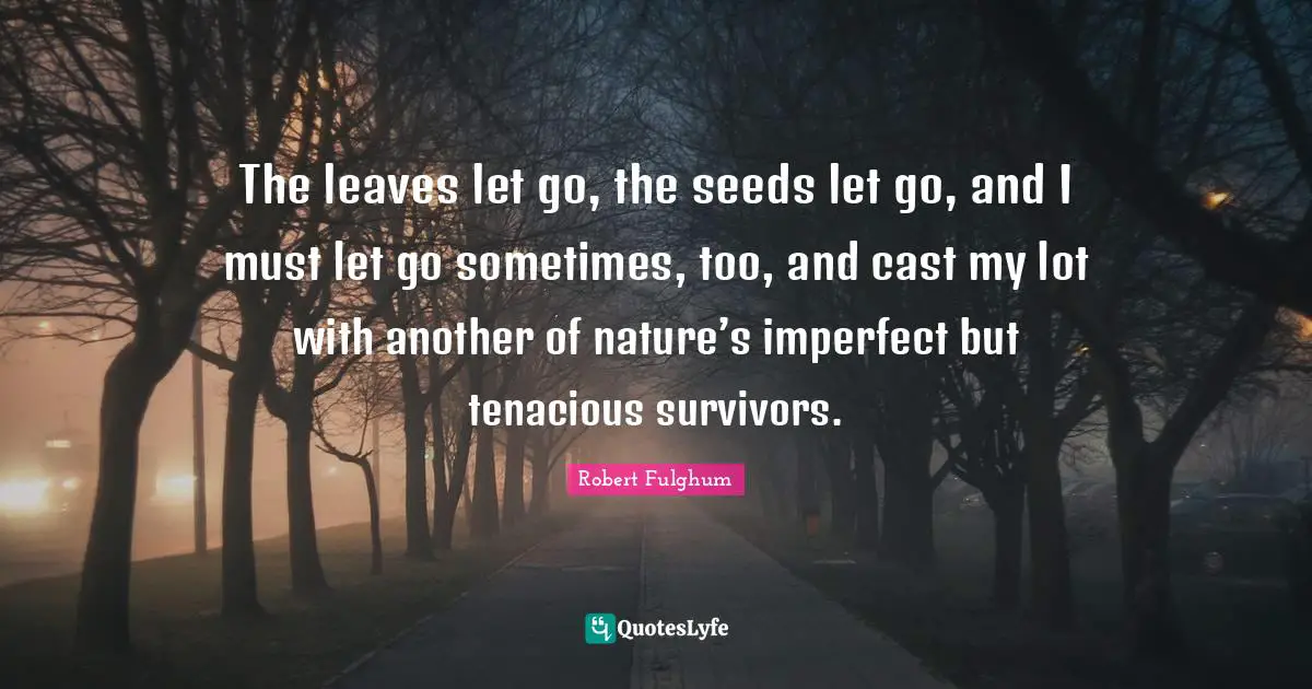 The leaves let go, the seeds let go, and I must let go sometimes, too, and cast my lot with another of nature’s imperfect but tenacious survivors.
