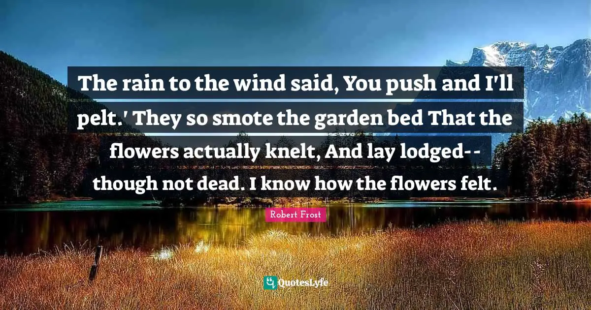 Robert Frost Quotes: "The rain to the wind said, You push and I'll pelt.' They so smote the garden bed That the flowers actually knelt, And lay lodged--though not dead. I know how the flowers felt."