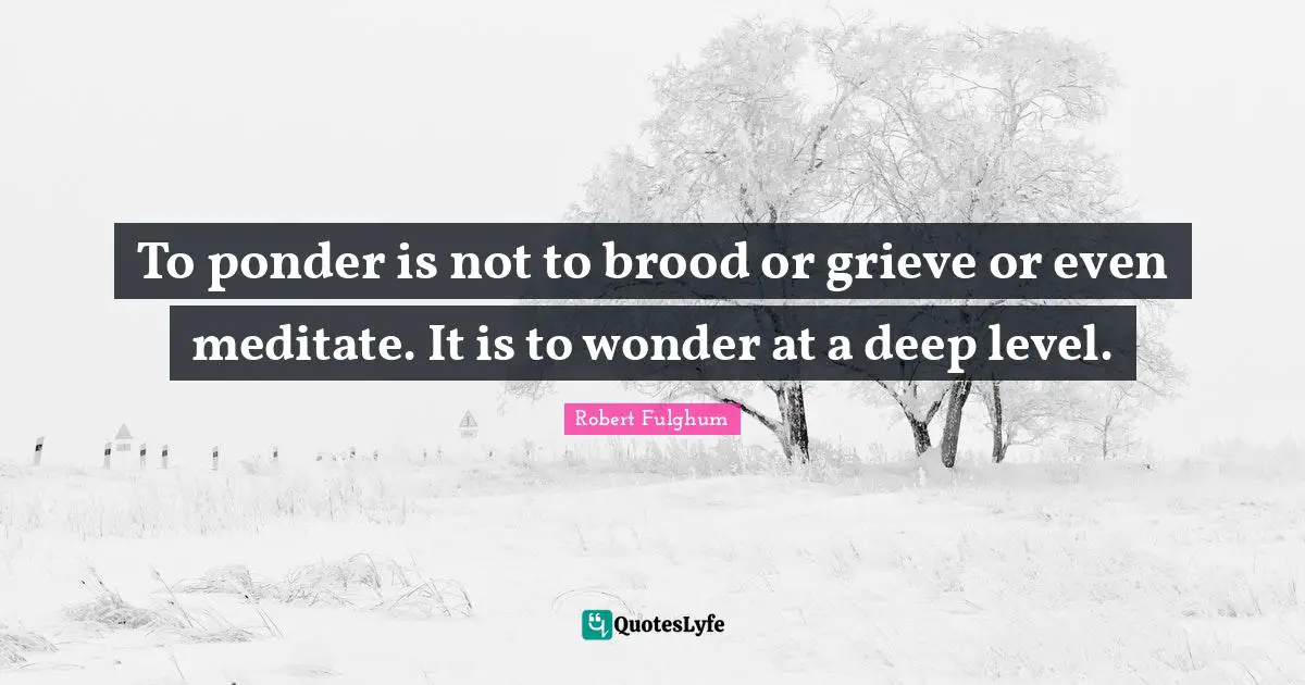To ponder is not to brood or grieve or even meditate. It is to wonder at a deep level.