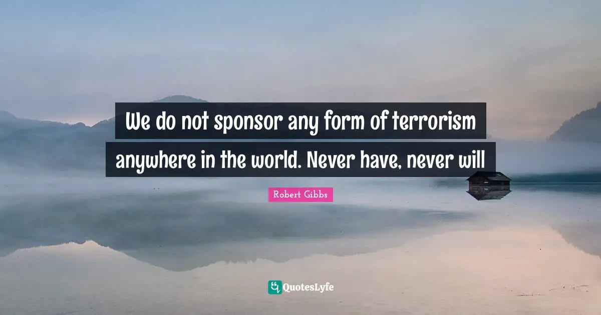 Robert Gibbs Quotes: "We do not sponsor any form of terrorism anywhere in the world. Never have, never will"