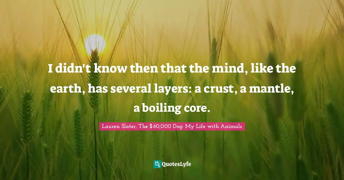 I didn't know then that the mind, like the earth, has several layers: a crust, a mantle, a boiling core.