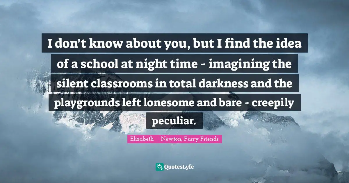 I don't know about you, but I find the idea of a school at night time - imagining the silent classrooms in total darkness and the playgrounds left lonesome and bare - creepily peculiar.