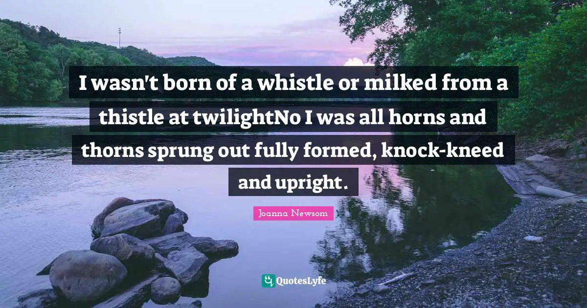 I wasn't born of a whistle or milked from a thistle at twilightNo I was all horns and thorns sprung out fully formed, knock-kneed and upright.