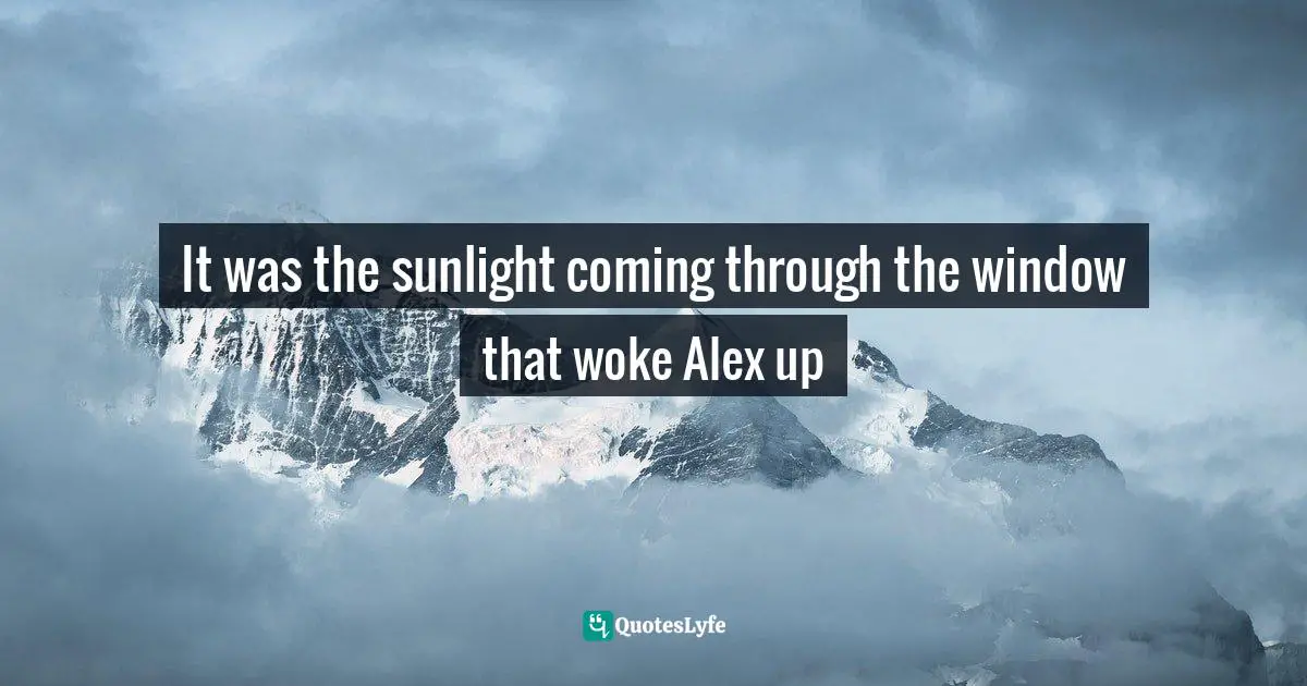 It was the sunlight coming through the window that woke Alex up