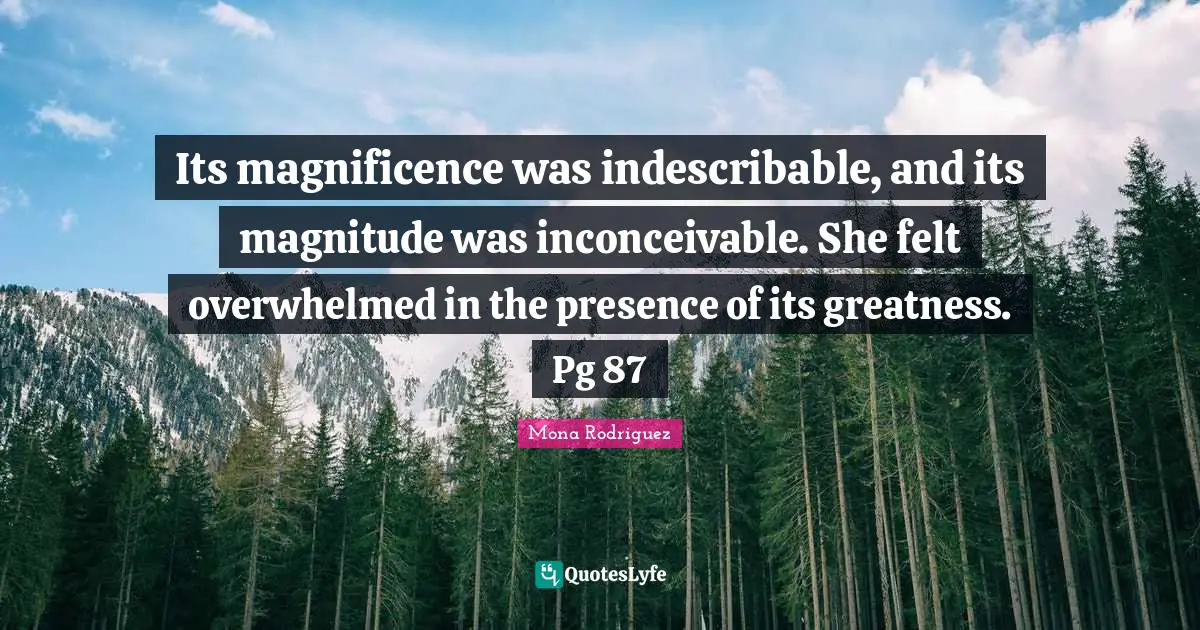 Its magnificence was indescribable, and its magnitude was inconceivable. She felt overwhelmed in the presence of its greatness. Pg 87