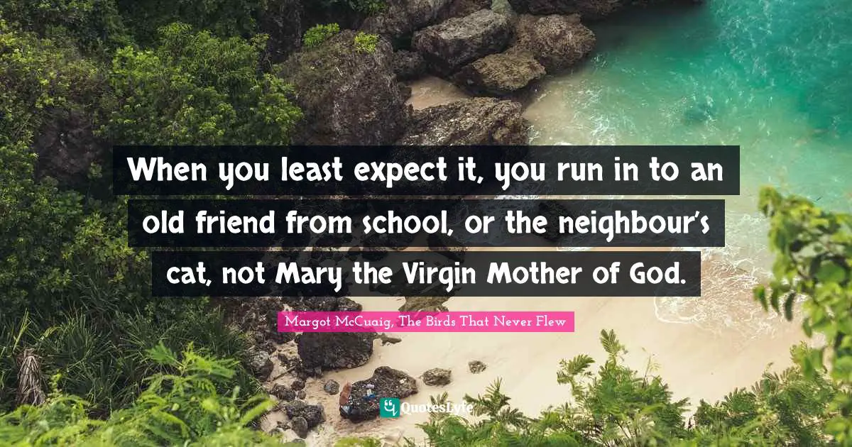 When you least expect it, you run in to an old friend from school, or the neighbour’s cat, not Mary the Virgin Mother of God.