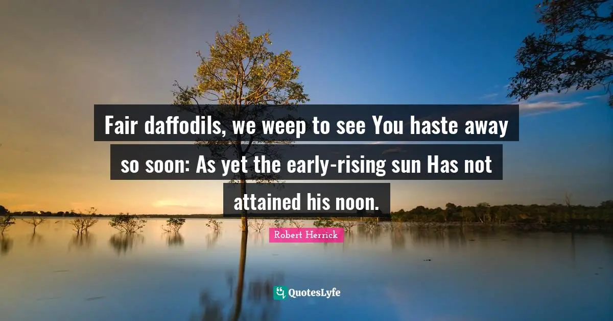 Robert  Herrick Quotes: "Fair daffodils, we weep to see You haste away so soon: As yet the early-rising sun Has not attained his noon."