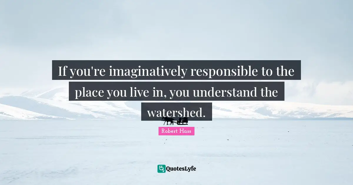 If you're imaginatively responsible to the place you live in, you understand the watershed.