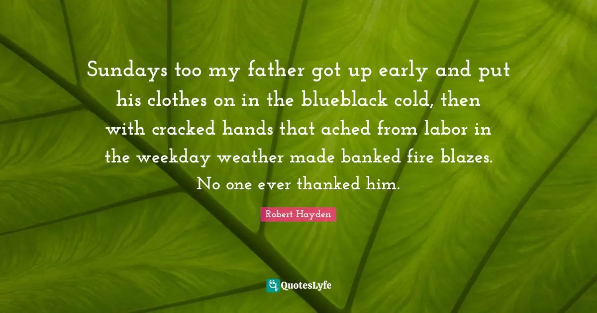 Robert Hayden Quotes: "Sundays too my father got up early and put his clothes on in the blueblack cold, then with cracked hands that ached from labor in the weekday weather made banked fire blazes. No one ever thanked him."