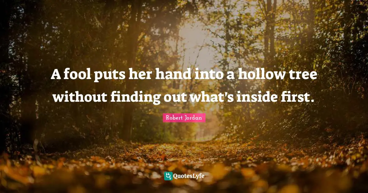A fool puts her hand into a hollow tree without finding out what's inside first.