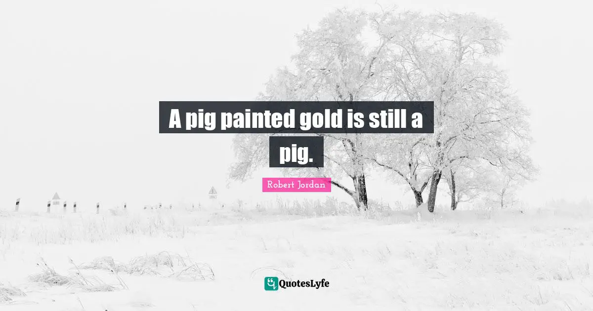 A pig painted gold is still a pig.