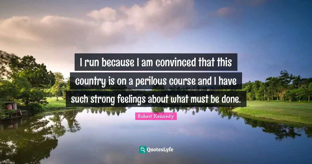 I run because I am convinced that this country is on a perilous course and I have such strong feelings about what must be done.