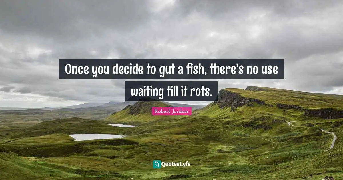 Once you decide to gut a fish, there's no use waiting till it rots.