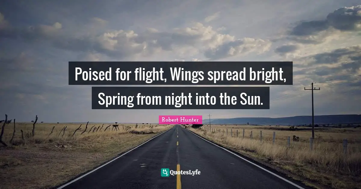 Poised for flight, Wings spread bright, Spring from night into the Sun.