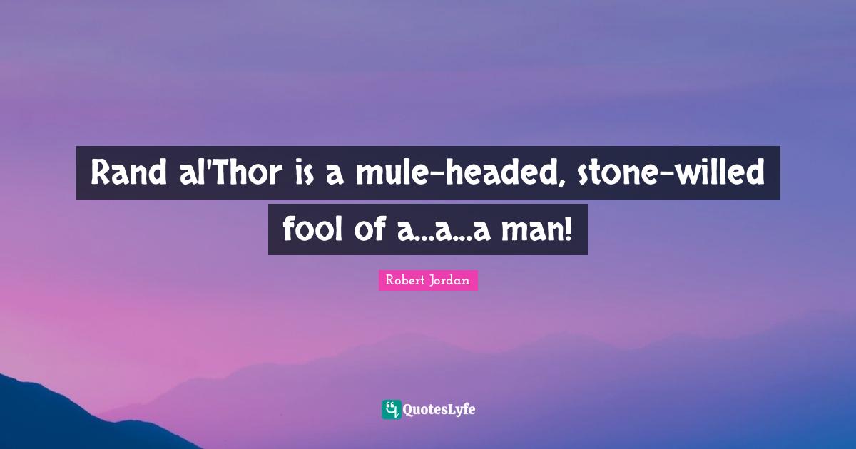 Rand al'Thor is a mule-headed, stone-willed fool of a...a...a man!