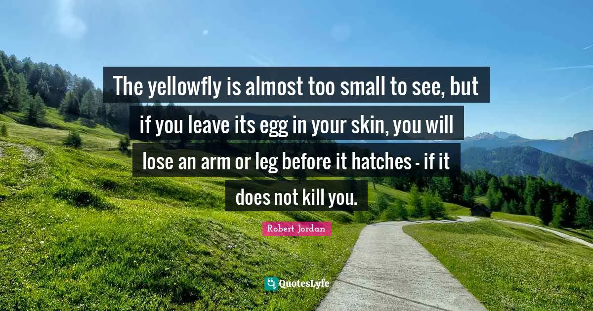 The yellowfly is almost too small to see, but if you leave its egg in your skin, you will lose an arm or leg before it hatches - if it does not kill you.