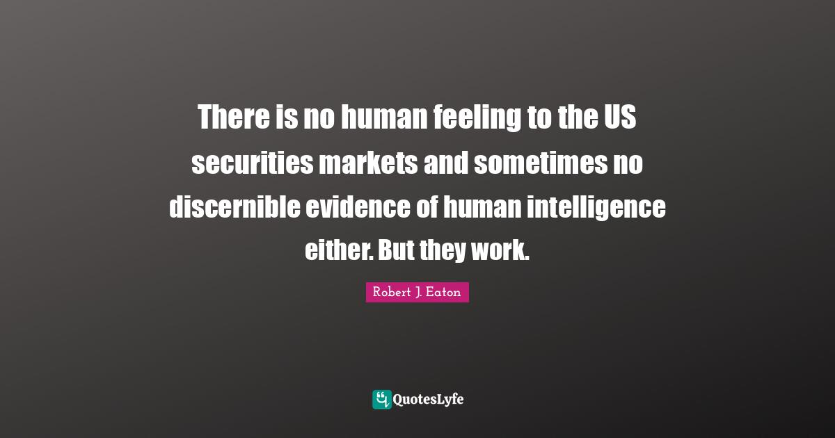 There is no human feeling to the US securities markets and sometimes no discernible evidence of human intelligence either. But they work.