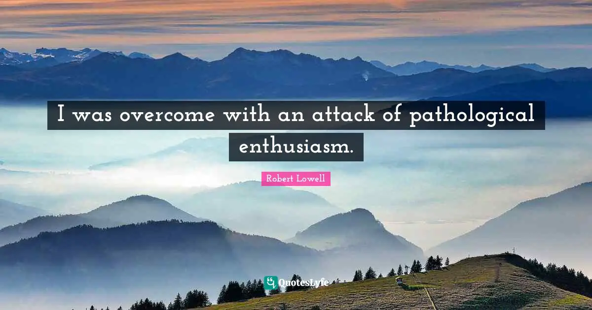 I was overcome with an attack of pathological enthusiasm.