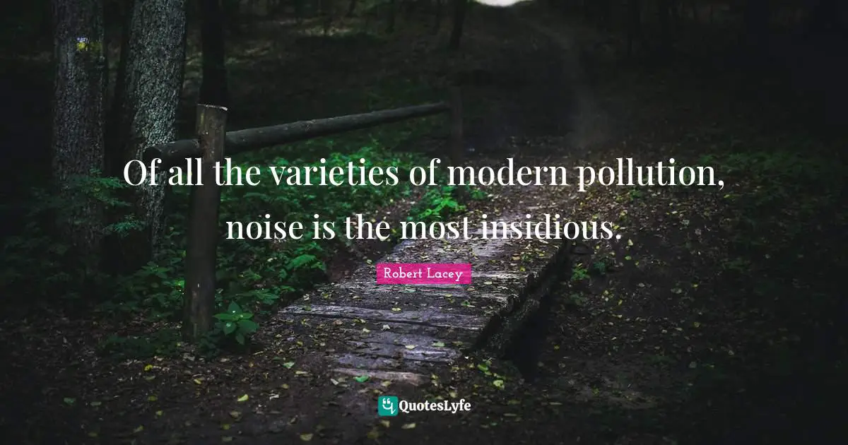 Of all the varieties of modern pollution, noise is the most insidious.
