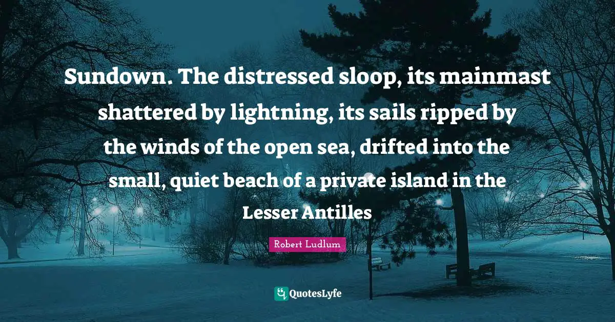 Sundown. The distressed sloop, its mainmast shattered by lightning, its sails ripped by the winds of the open sea, drifted into the small, quiet beach of a private island in the Lesser Antilles