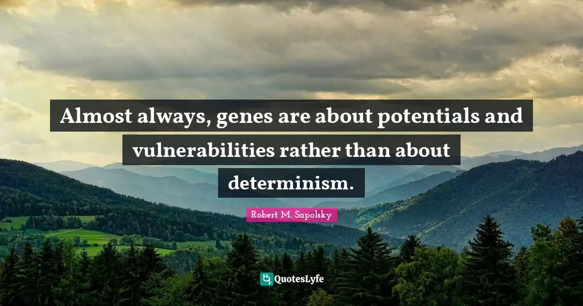 Robert M. Sapolsky Quotes: "Almost always, genes are about potentials and vulnerabilities rather than about determinism."