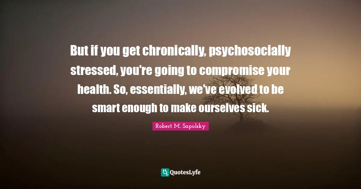 But if you get chronically, psychosocially stressed, you're going to compromise your health. So, essentially, we've evolved to be smart enough to make ourselves sick.