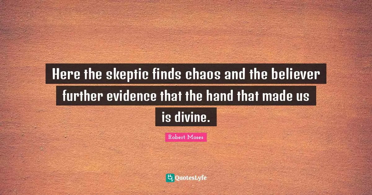Here the skeptic finds chaos and the believer further evidence that the hand that made us is divine.
