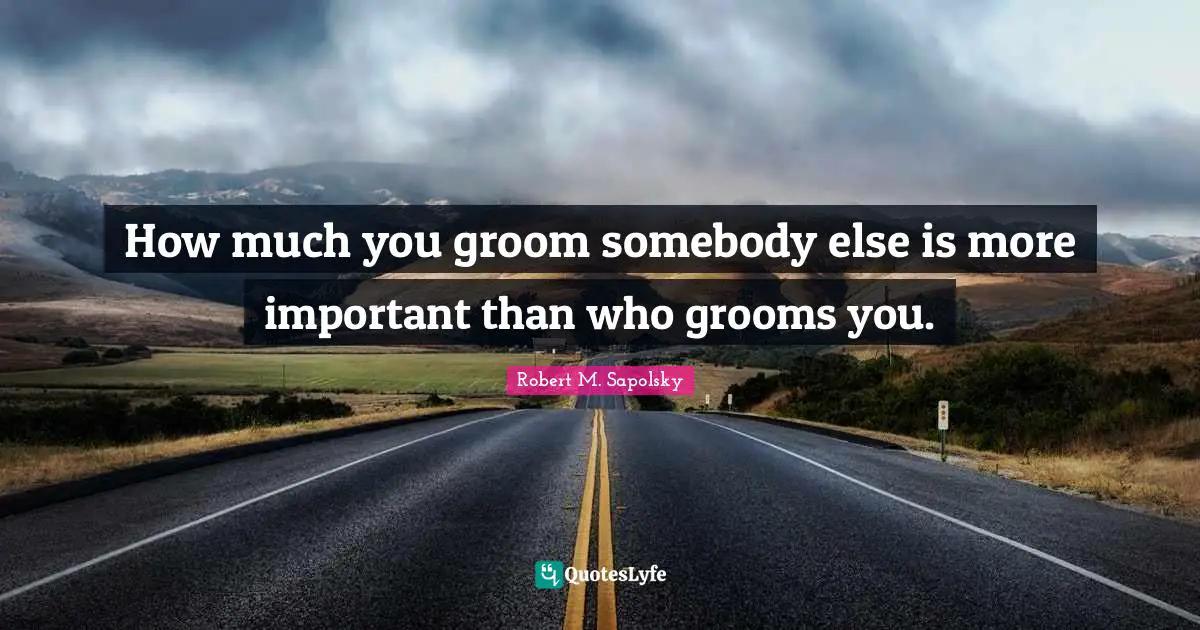 Robert M. Sapolsky Quotes: "How much you groom somebody else is more important than who grooms you."