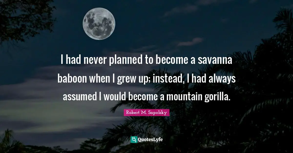 Robert M. Sapolsky Quotes: "I had never planned to become a savanna baboon when I grew up; instead, I had always assumed I would become a mountain gorilla."