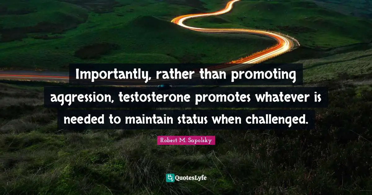 Robert M. Sapolsky Quotes: "Importantly, rather than promoting aggression, testosterone promotes whatever is needed to maintain status when challenged."