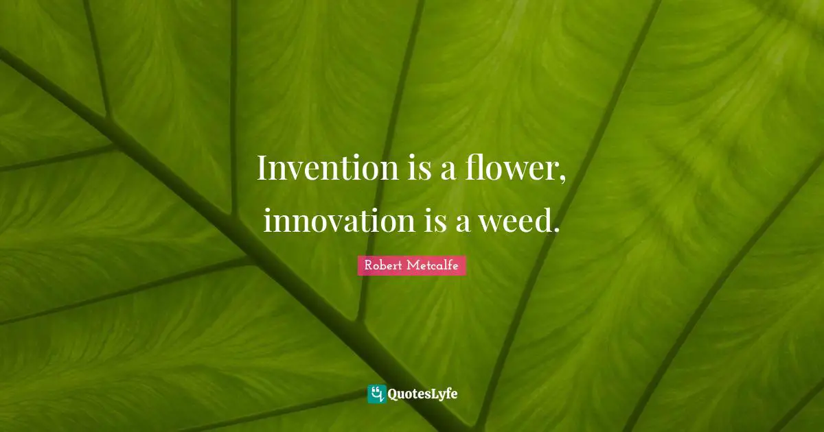 Invention is a flower, innovation is a weed.
